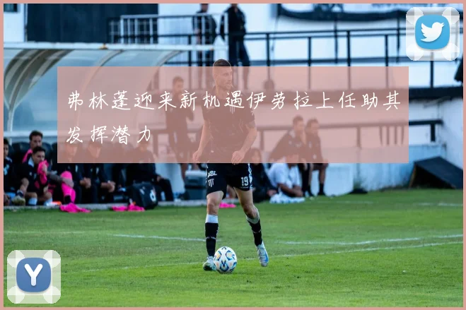 弗林蓬迎来新机遇伊劳拉上任助其发挥潜力