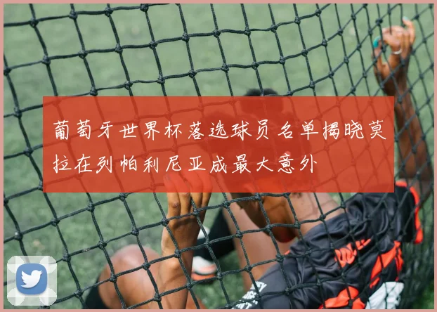 葡萄牙世界杯落选球员名单揭晓莫拉在列帕利尼亚成最大意外